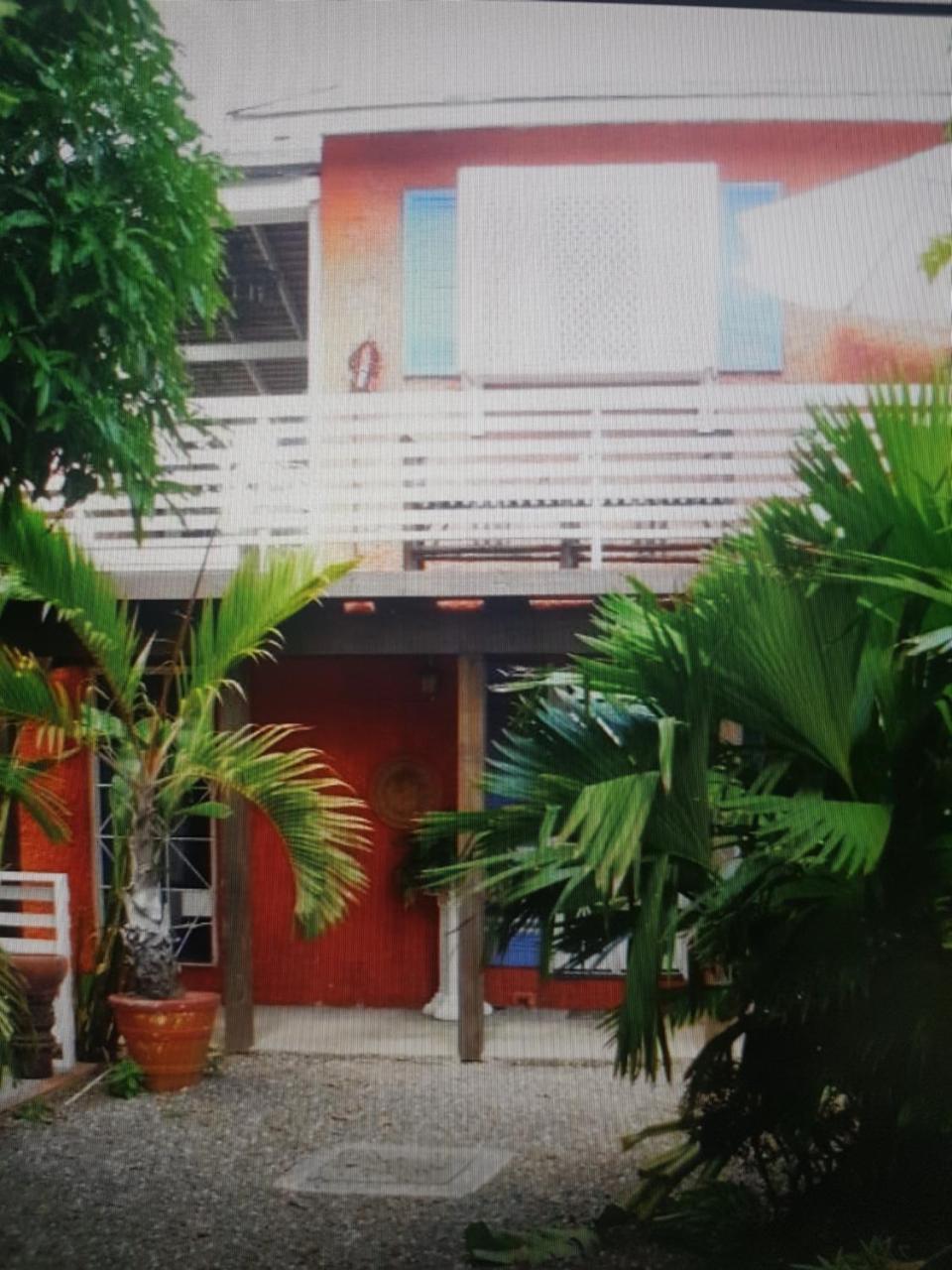 Mikuzi Hotel Kingston Bagian luar foto