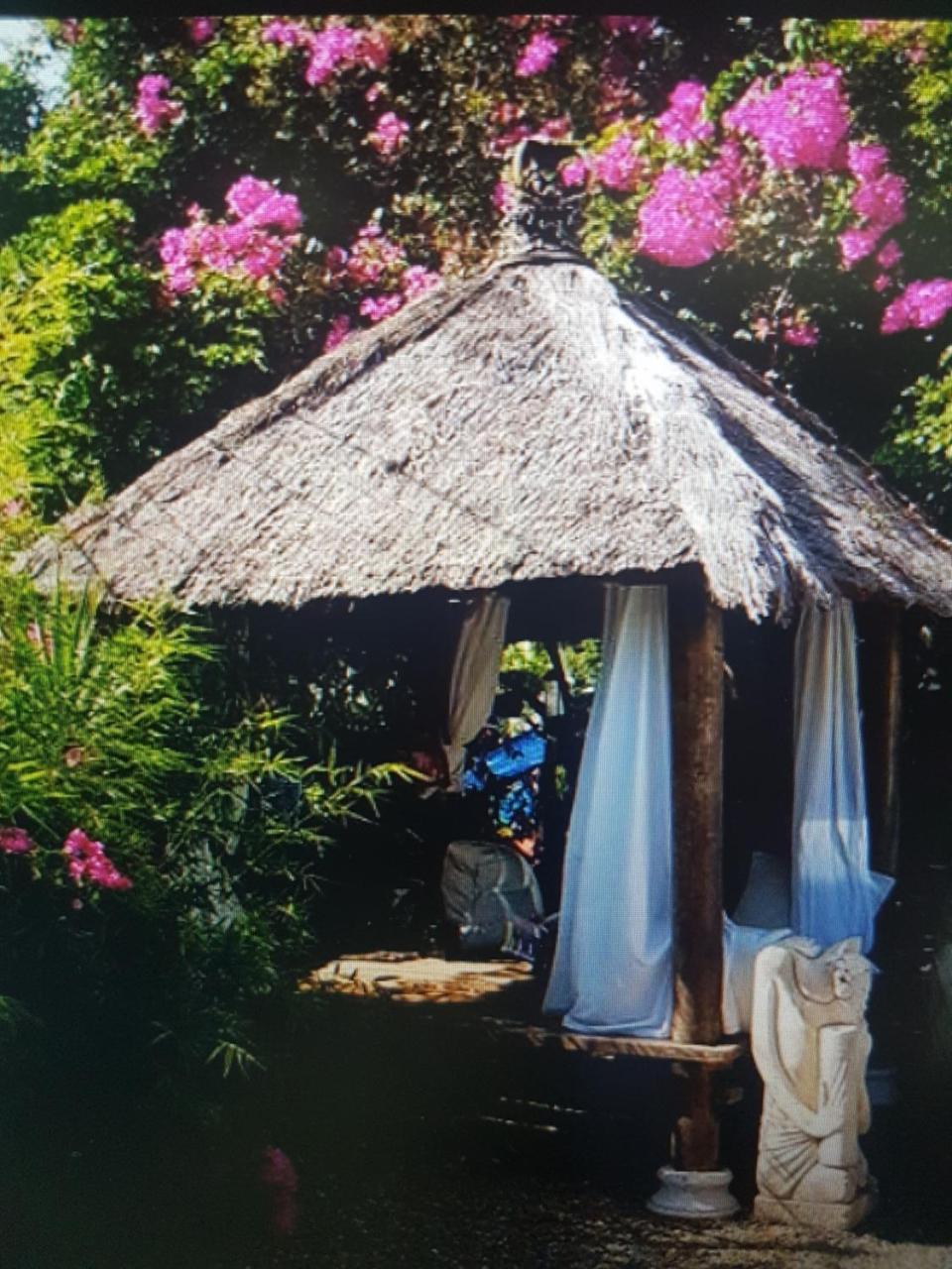 Mikuzi Hotel Kingston Bagian luar foto